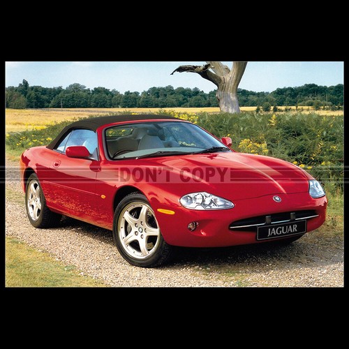 Photo 031455 jaguar - a.031455,