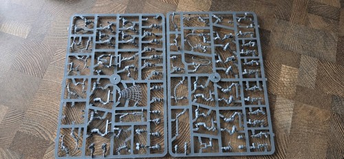 Dark eldar wyches - wyches, drukhari