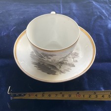 Spode Bat-printed Teacup And