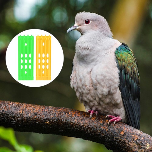 2pcs homing pigeon racing - 2pcs,