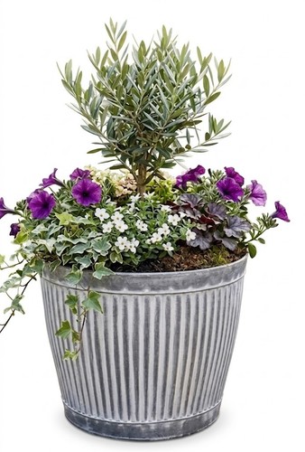 Galvanised planters large - planters,