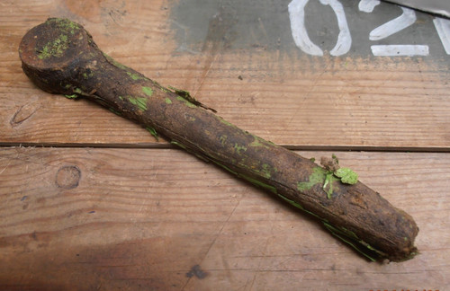 Austin champ torsion - champ, bar