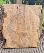 LIVE EDGE SPALTED CHESTNUT