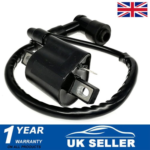 Ignition coil with spark plug