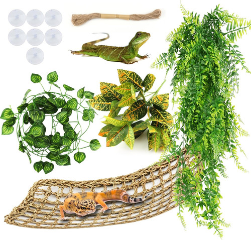 Bearded dragon hammock - bearded,