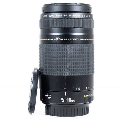 Canon 300mm 5 - canon, 75-300mm