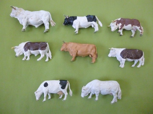 Bulls cows britains - ,