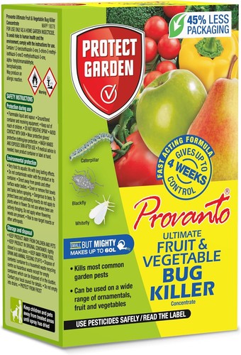 Fruit and vegetable - and, bug