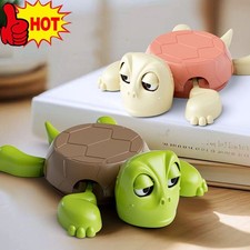 Panicked Turtle Coaster Turtle