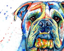 British Bulldog art print