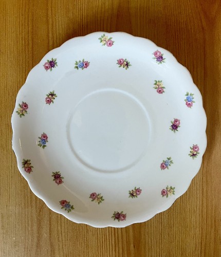 Plant tuscan bone china - plant,