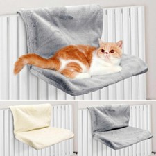 Rainberg Cat Puppy Pet Dog
