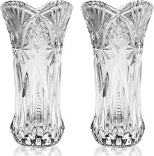 Glass Vases (2 Pack) -