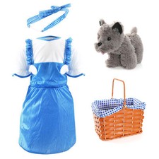 CHILDS BOOK DAY DOROTHY DRESS