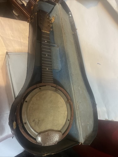 Vintage string banjo - vintage,