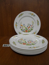 6 x 27 cm or 10 5/8 Inch