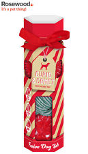 CUPID & COMET FESTIVE DOG