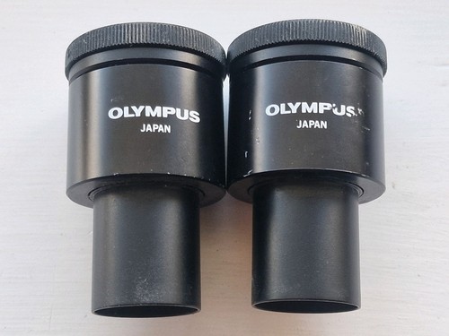 Pair olympus whk 10x - whk, 10x/20