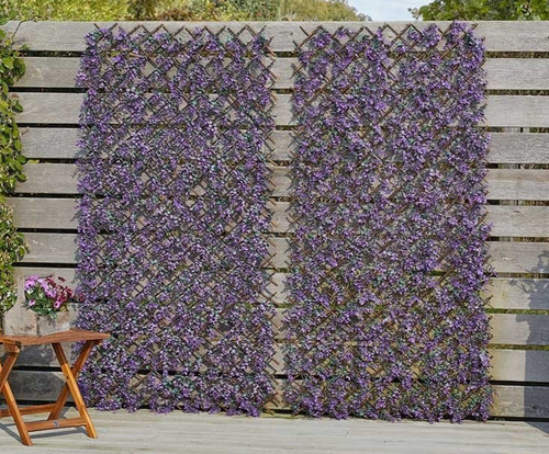 Vivid violet garden trellis - vivid,
