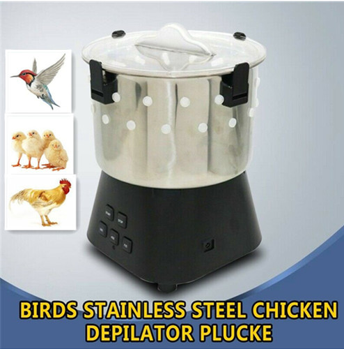 Poultry plucker birds quails - birds,