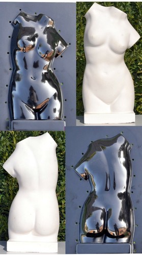 Woman torso venus - venus, large