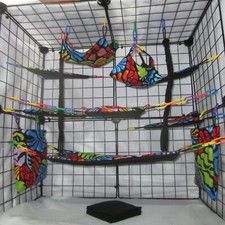 17 pc Sugar Glider Cage Set - Dark Floral Print - Rat Cage Set, Accessories