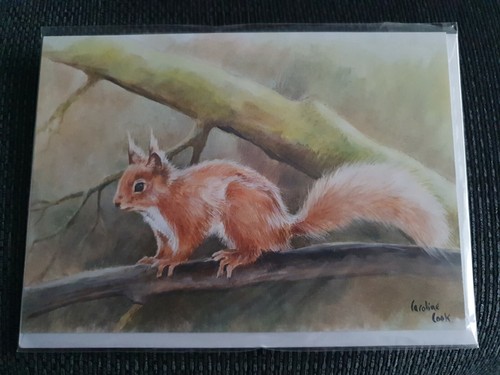 Red squirrel greetings - red, card