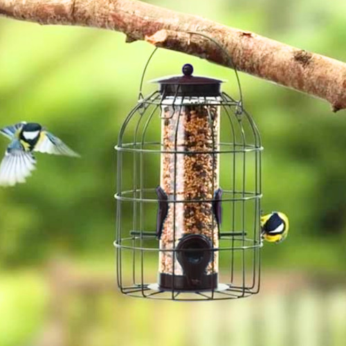Garden seed bird feeder - seed,
