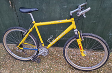 RALEIGH MAX 21SPD RETRO
