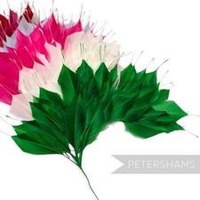 Large Spiky Goose Feather