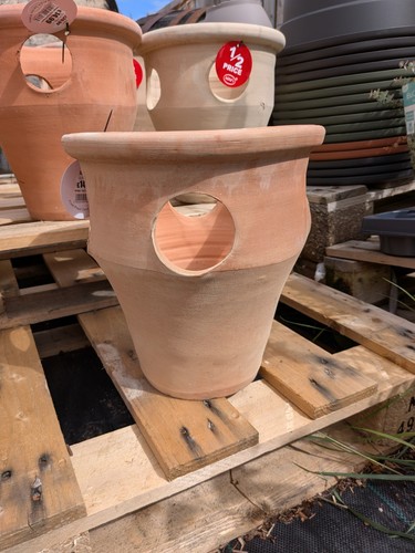 Terracotta herb planter 29 - herb, |