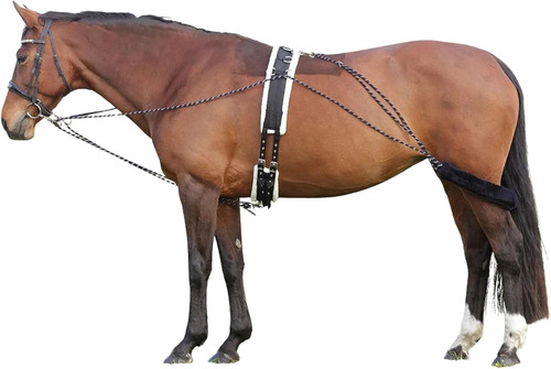 Lunging aid for - lunging,
