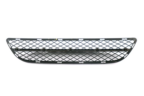 Front bumper grill - grill, e91