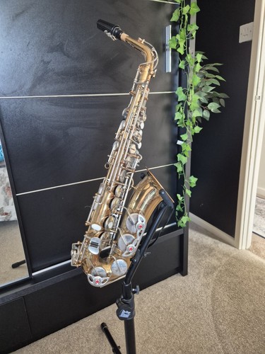 Alto saxophone with - alto, case