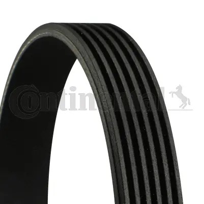 Ribbed belt fits vw - belt, passat