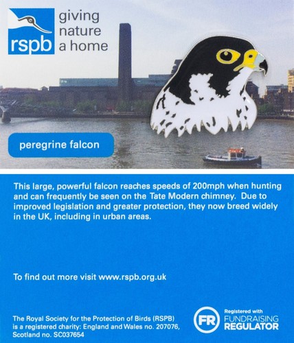 Rspb pin badge - rspb,