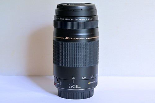 Canon 300mm 5 6 ii - ef,