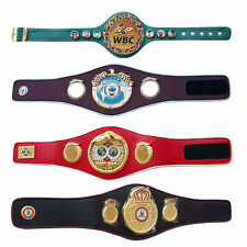 WBC WBA WBO IBF Championships