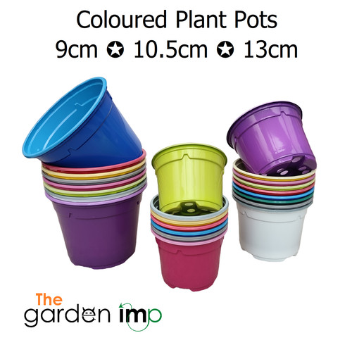 Coloured plant pots plastic - coloured,