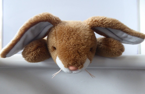 Vintage 2000 beanie buddies - ty,