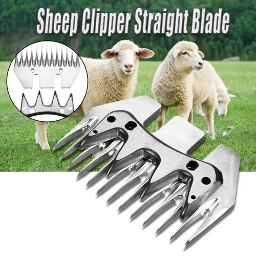 13t straight tooth - tooth, shears