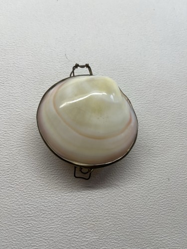 Vintage real clam shell - vintage,