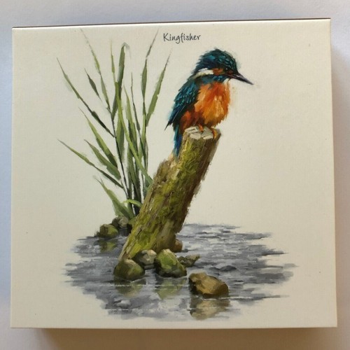 New small kingfisher - new,