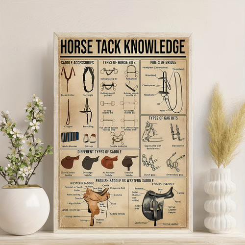 Horse tack knowledge - tack,