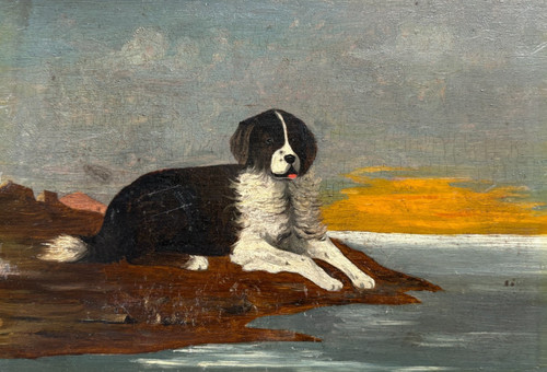 Dog sunset animal - -, painting