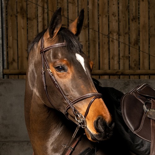 Whitaker valencia pro deluxe - whitaker,