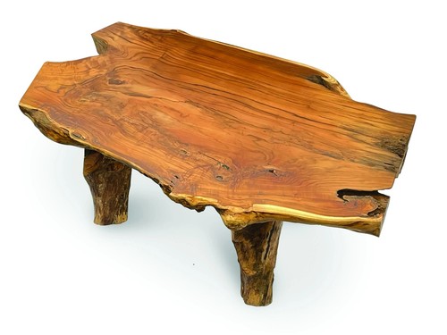 Root coffee table - root,