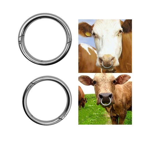Bull nose ring clip - bull,