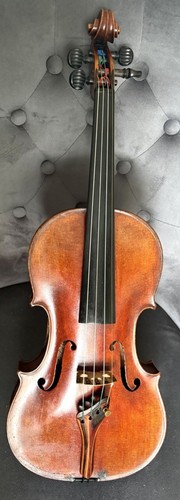 100 year old callier - 100,