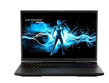 MEDION Erazer  Beast X40 17" Gaming Laptop - Intel® Core™ i9, RTX 4080, 1 TB